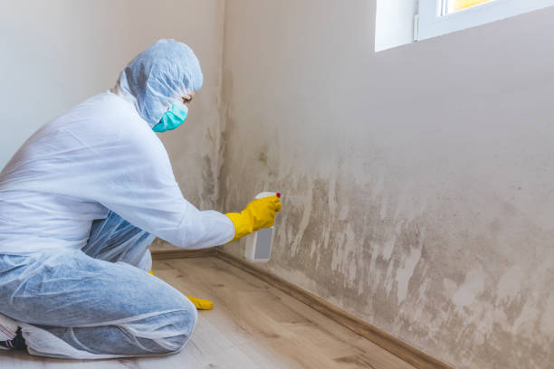 Mold inspector in Lexington performing thermal imaging